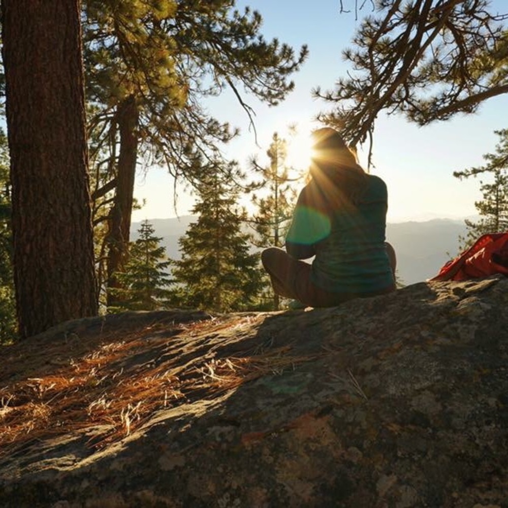 Meet your Posher, Liz